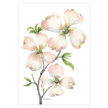 Load image into Gallery viewer, Dogwood 3 Greeting Cards
