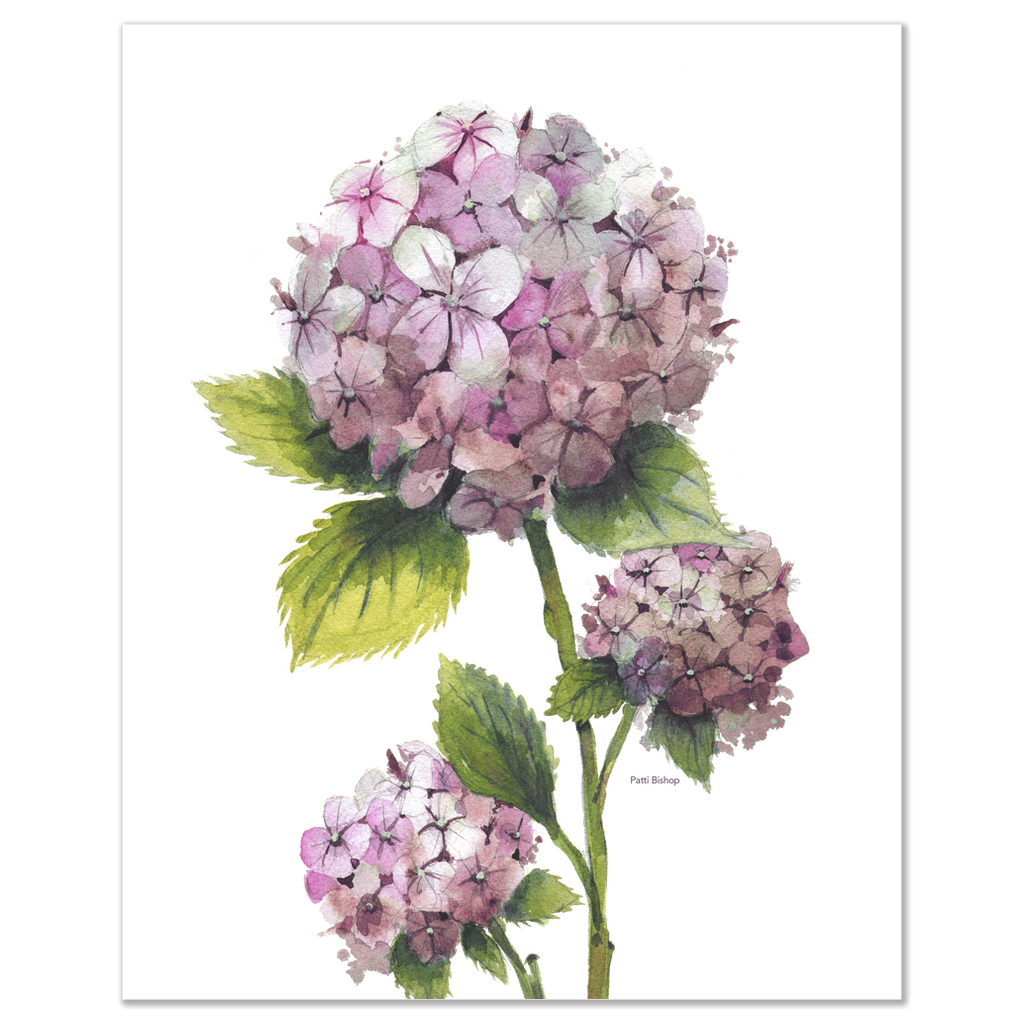 Pink Hydrangea Art Prints