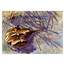 Load image into Gallery viewer, Horseshoe Hues Greeting Cards
