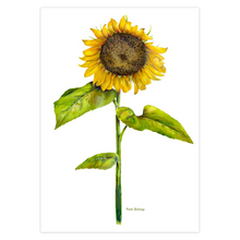 Load image into Gallery viewer, Sunflower Greeting Cards

