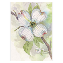 Load image into Gallery viewer, Dogwood Greeting Cards
