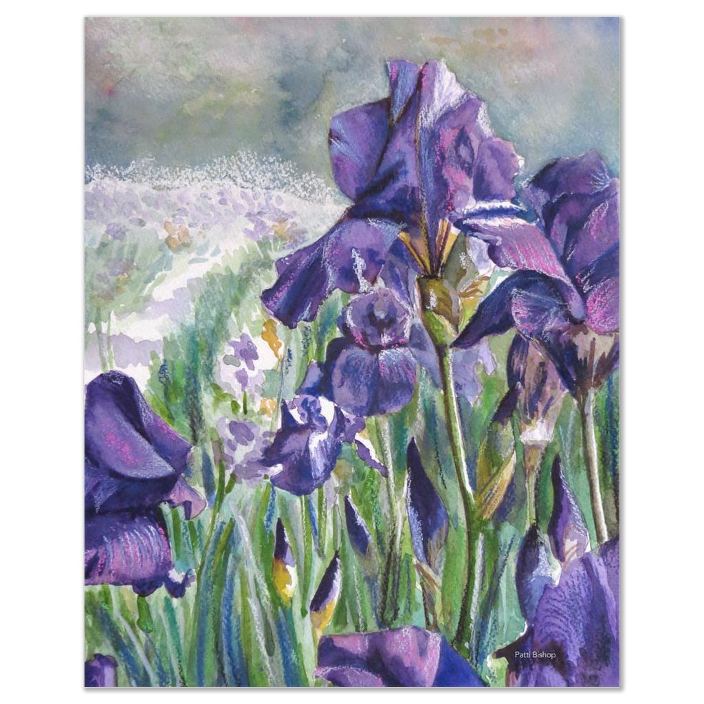 Purple Iris Art Prints