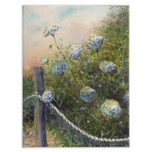 Load image into Gallery viewer, Queen Anne&#39;s Lace Stretched Canvas Print
