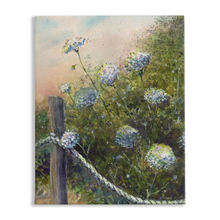 Load image into Gallery viewer, Queen Anne&#39;s Lace Stretched Canvas Print
