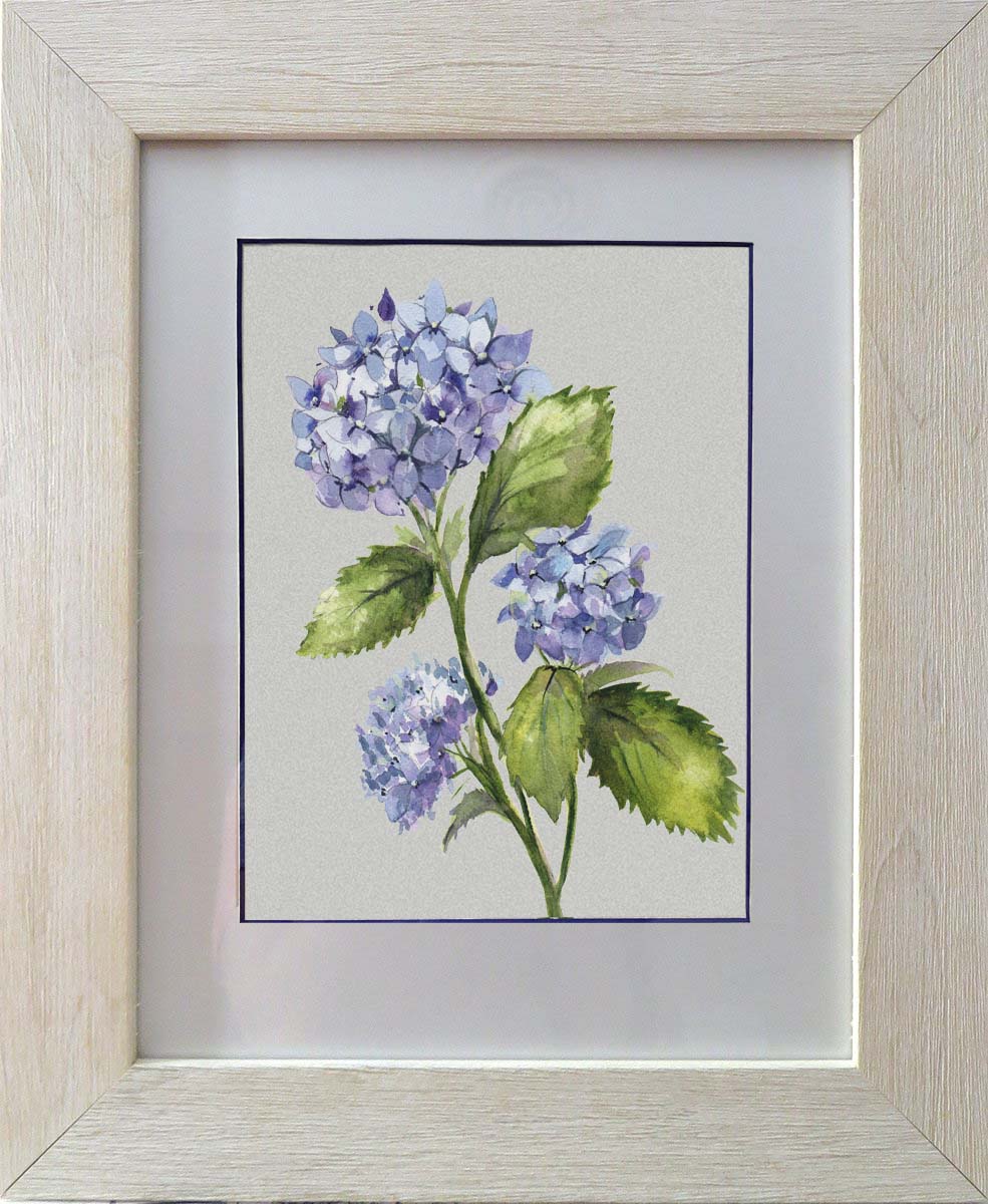 Hydrangea 1 Original Watercolor