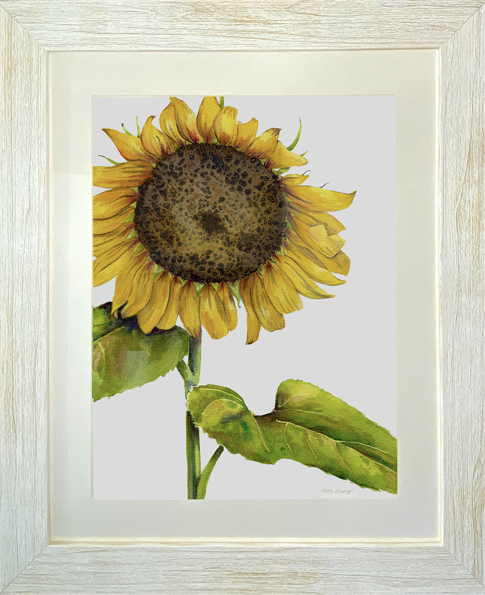 Single Sunflower Original Watercolor
