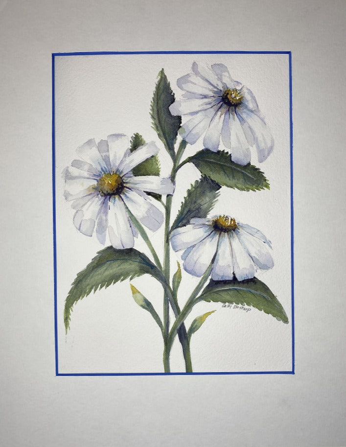 White Daisies Original Watercolor