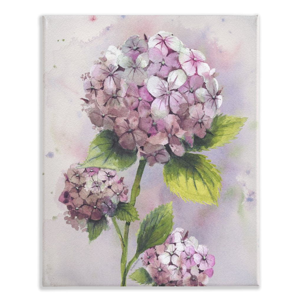 Pink Hydrangea Stretched Canvas Print