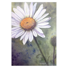 Load image into Gallery viewer, Daisy Bud Greeting Cards
