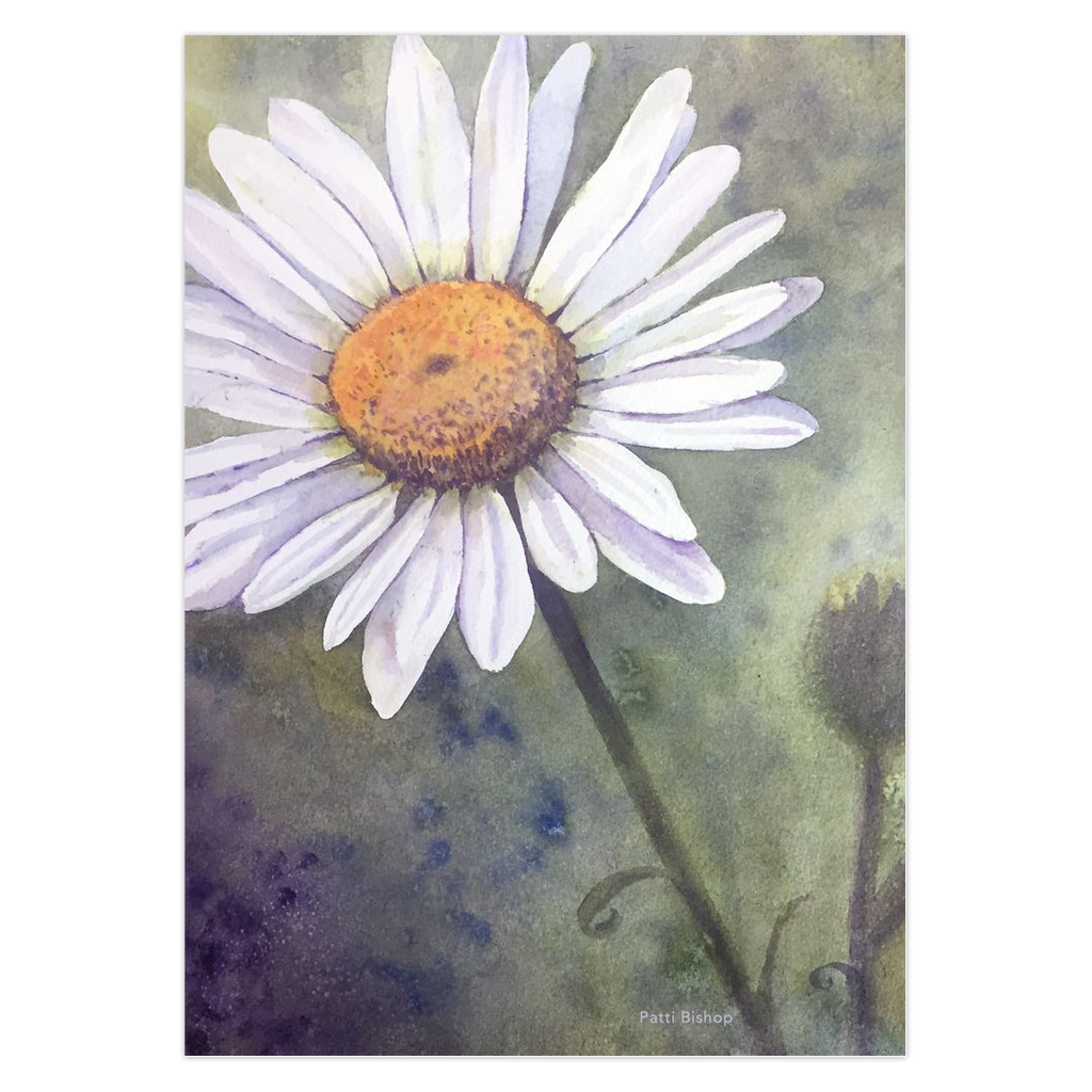 Daisy Bud Greeting Cards