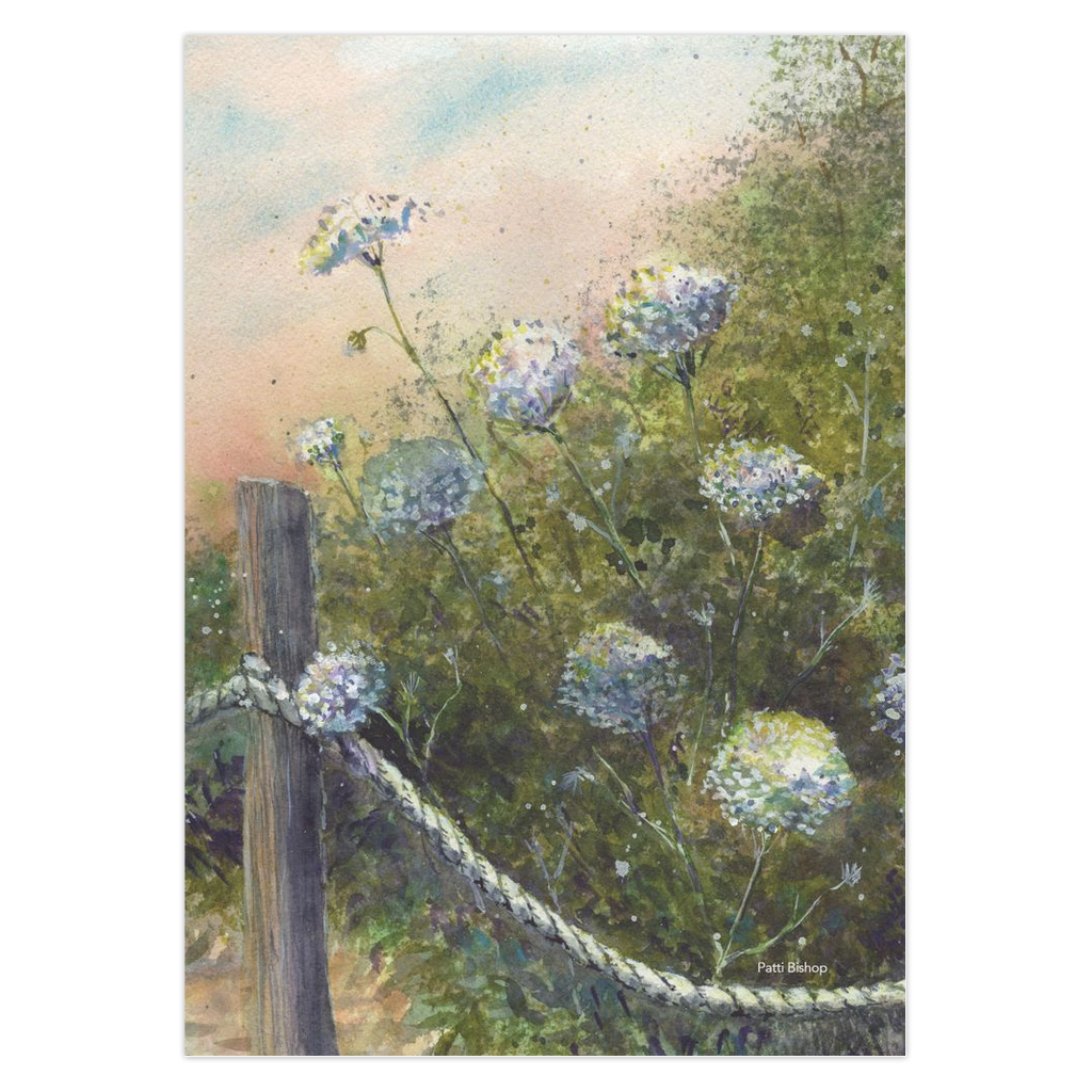 Queen Annes Lace Greeting Cards