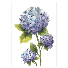 Load image into Gallery viewer, Hydrangea Greeting Cards
