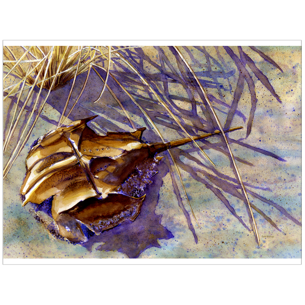 Horseshoe Hues Art Prints