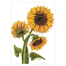 Load image into Gallery viewer, Sunflowers Three Greeting Cards
