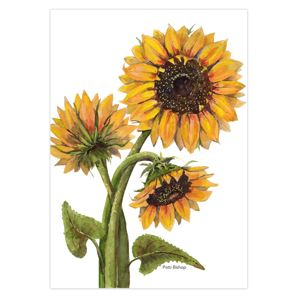 Sunflowers Three Greeting Cards