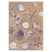 Load image into Gallery viewer, Seashells Greeting Cards
