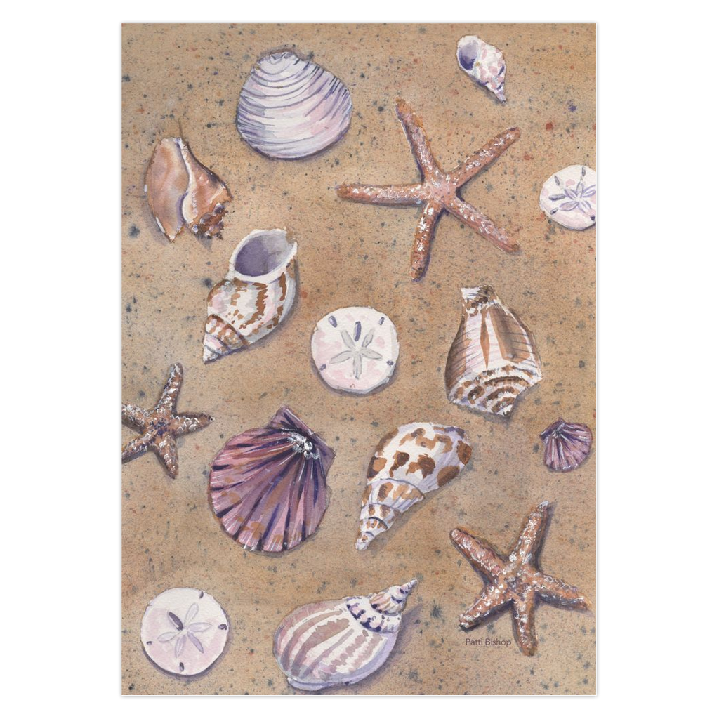 Seashells Greeting Cards