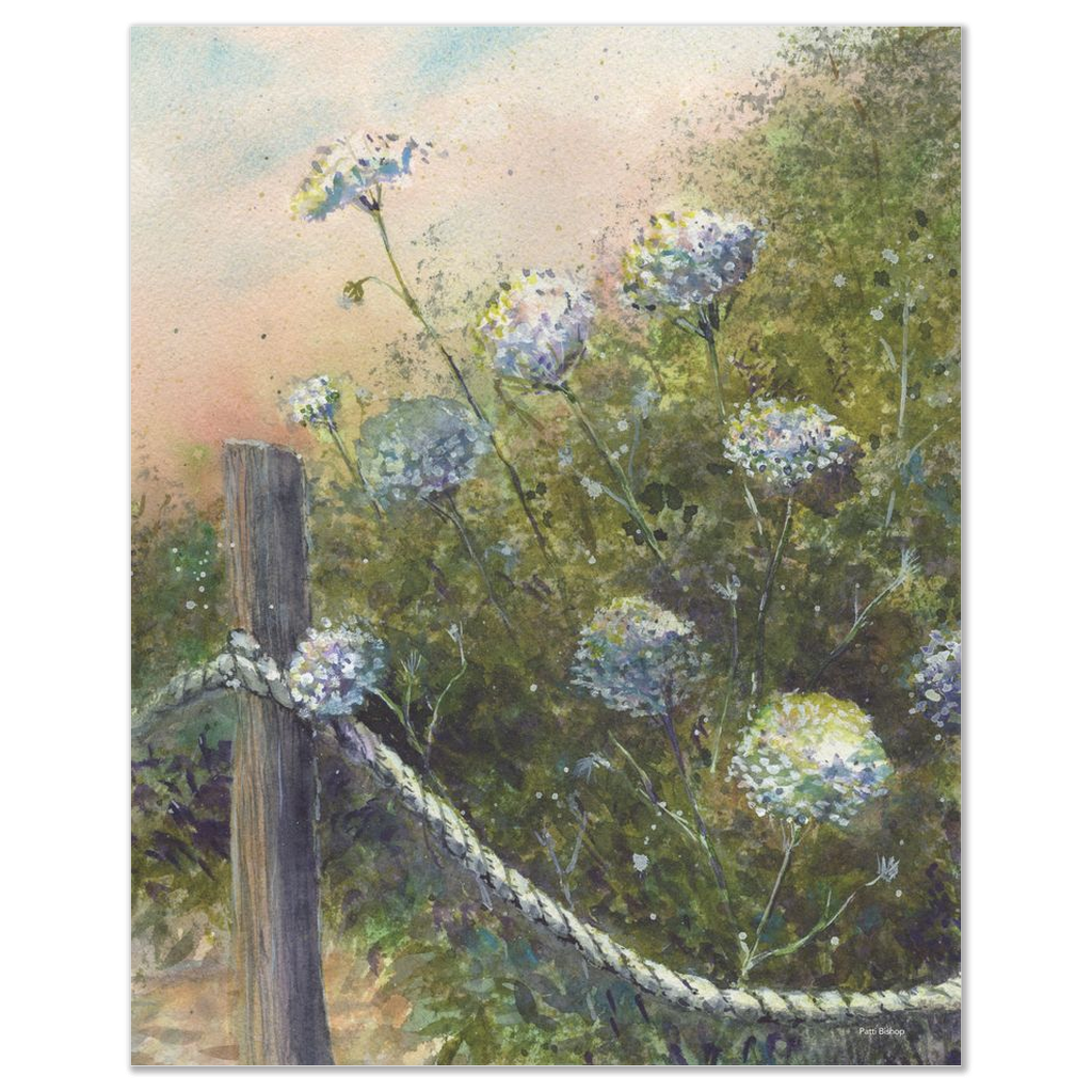 Queen Anne's Lace Art Print